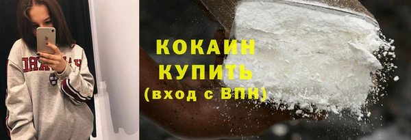 гашик Бикин