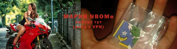 крисы Болотное