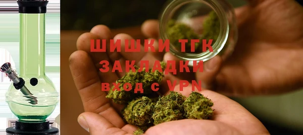 прущие грибы Нефтегорск