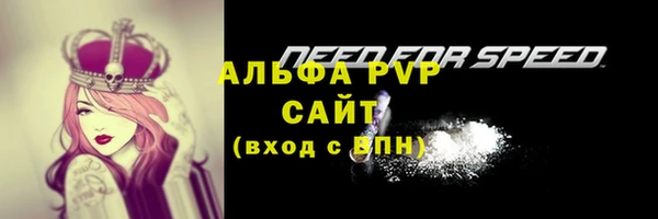 сатива Болохово