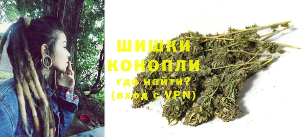 дмт Нея