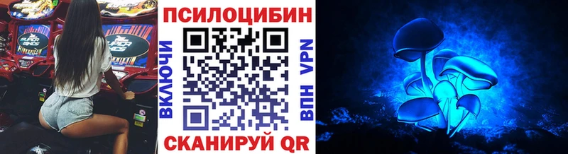 купить закладку  Нягань  Псилоцибиновые грибы мухоморы 