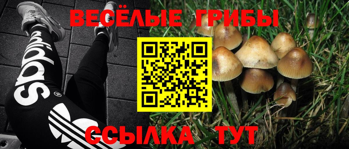 Галлюциногенные грибы Psilocybe  Вход с VPN  Нягань 