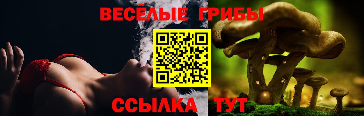Галлюциногенные грибы MAGIC MUSHROOMS Нягань